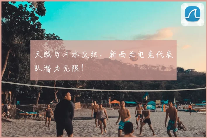天赋与汗水交织,新西兰电竞代表队潜力无限!