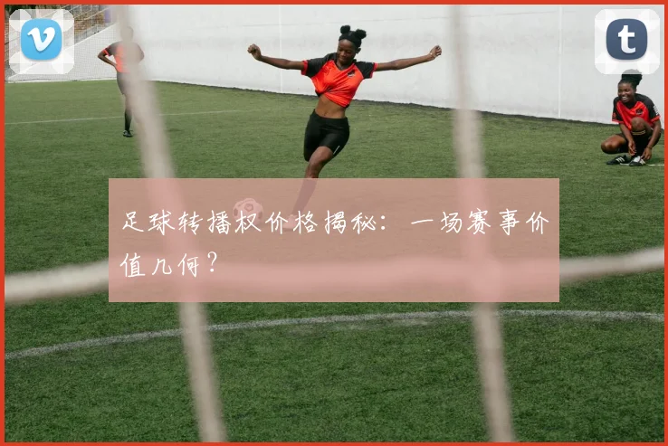 足球转播权价格揭秘:一场赛事价值几何?